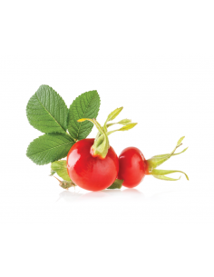 Aceite de semilla de Rosa Mosqueta sin refinar